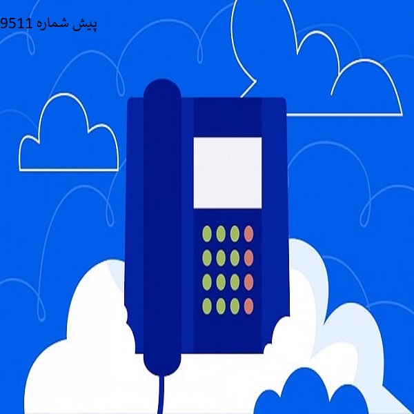 خرید شماره 9511